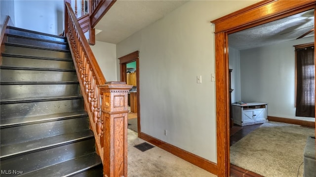 stairs featuring carpet floors