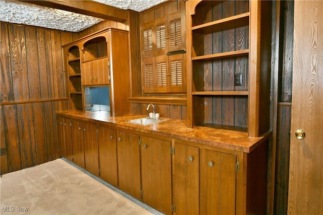 bar featuring wooden walls, sink, and light colored carpet