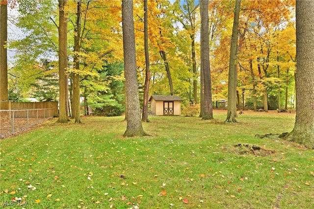 view of yard with a storage shed