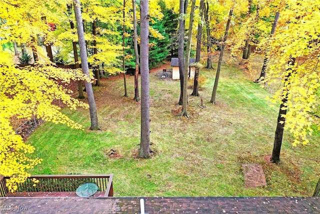 view of yard featuring a storage shed