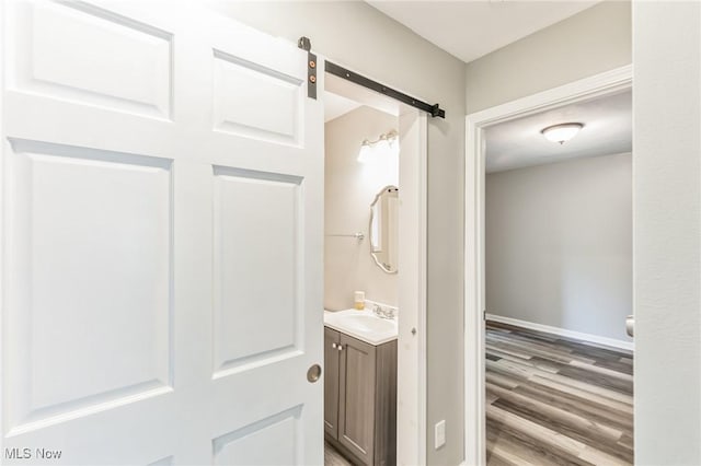 bathroom with hardwood / wood-style floors and vanity