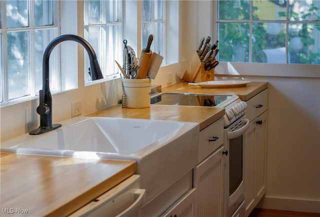 details featuring white cabinetry, sink, and stainless steel range with electric stovetop