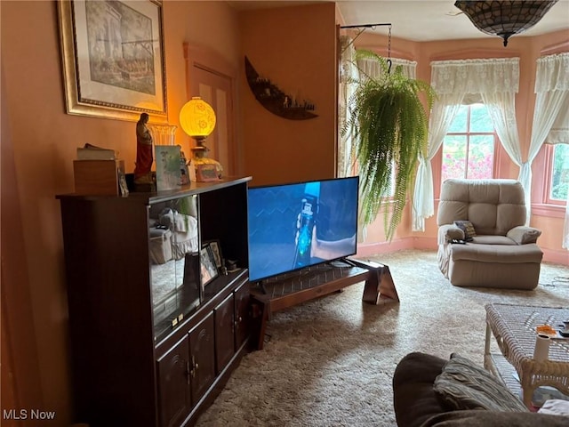 living area featuring carpet