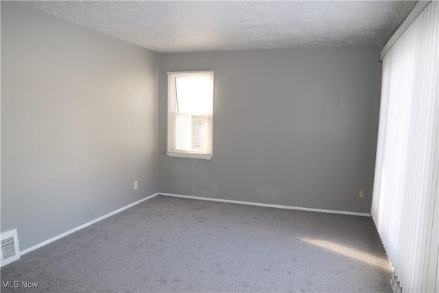 empty room featuring a textured ceiling and carpet floors