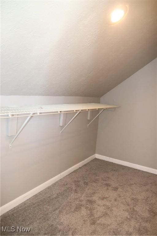 spacious closet with carpet and lofted ceiling