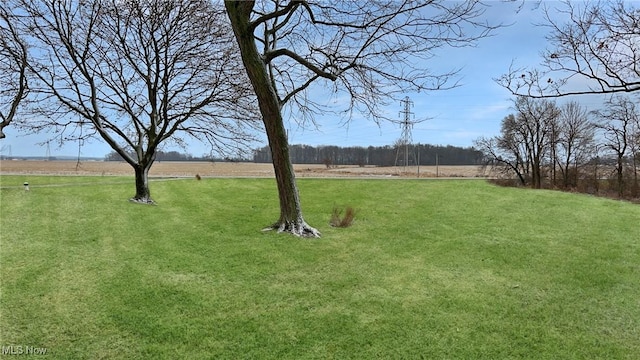 view of yard with a rural view