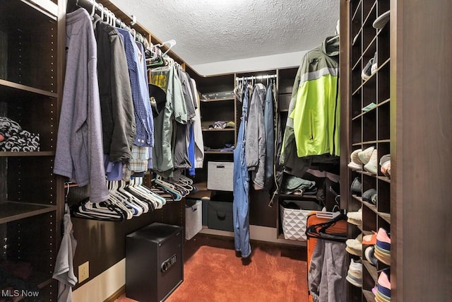 walk in closet with dark carpet