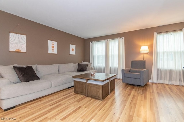 living room with light wood-type flooring