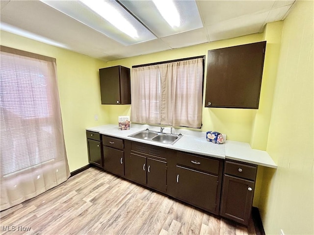 kitchen featuring dark brown cabinetry, light wood-type flooring, and sink