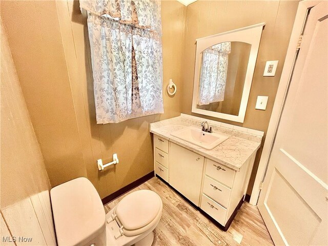 bathroom featuring vanity, toilet, and wood-type flooring