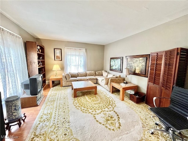 living room with light hardwood / wood-style flooring