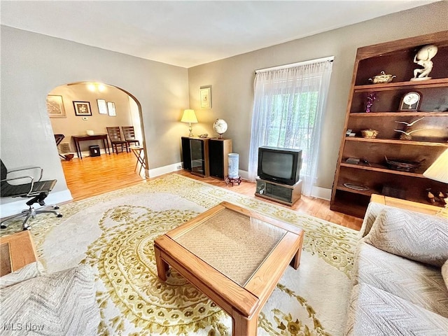 living room with hardwood / wood-style flooring