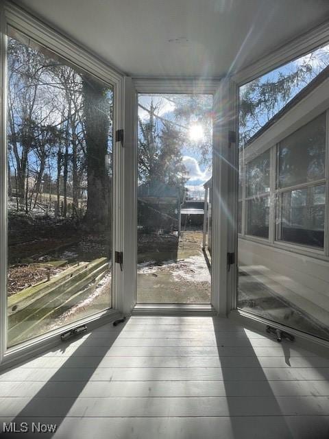 doorway with hardwood / wood-style flooring and a wealth of natural light