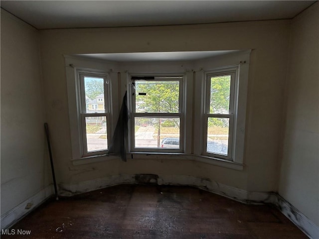 empty room featuring hardwood / wood-style flooring and a wealth of natural light