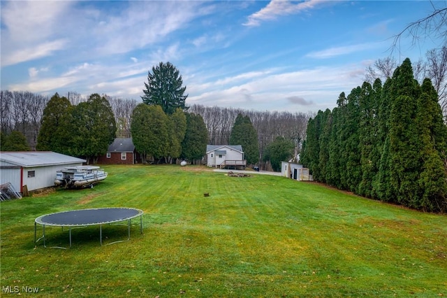 view of yard with an outdoor structure and a trampoline