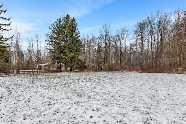 view of snowy yard