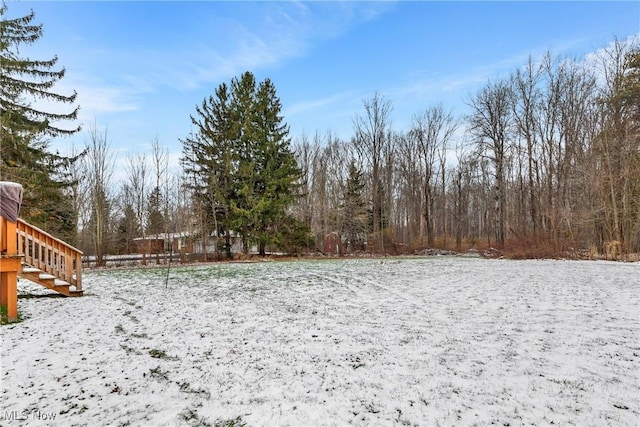 view of snowy yard