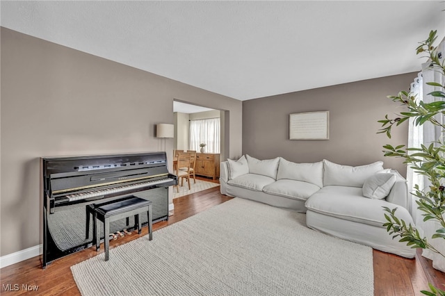 living room featuring hardwood / wood-style flooring