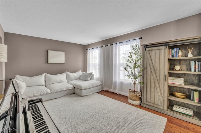 living room with a barn door and hardwood / wood-style floors