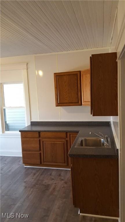 kitchen with dark hardwood / wood-style flooring and sink