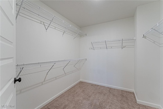 spacious closet featuring light carpet