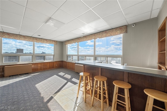 sunroom / solarium with radiator heating unit and a drop ceiling