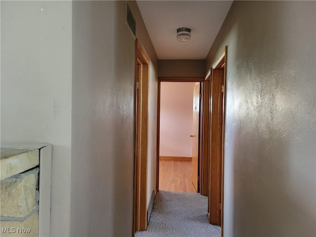 hallway featuring carpet floors