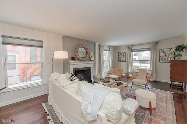 living room featuring a fireplace, crown molding, and dark hardwood / wood-style flooring