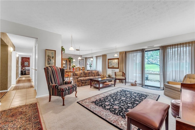 living room with carpet floors and a textured ceiling