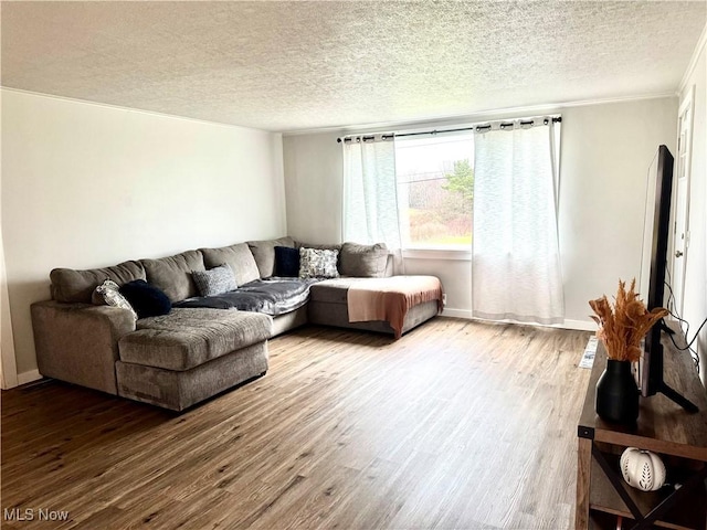 living room featuring hardwood / wood-style floors, crown molding, and a textured ceiling