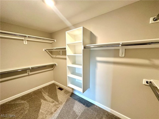 walk in closet featuring carpet flooring