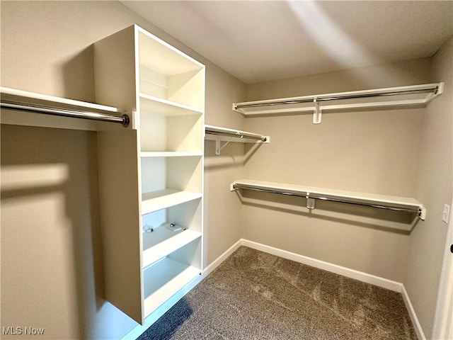 spacious closet featuring carpet floors