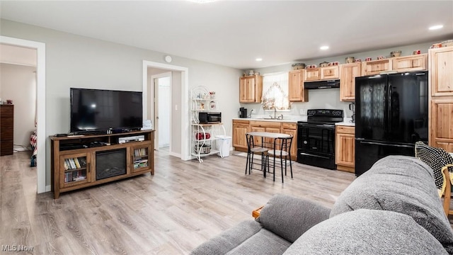 living room with sink and light hardwood / wood-style floors