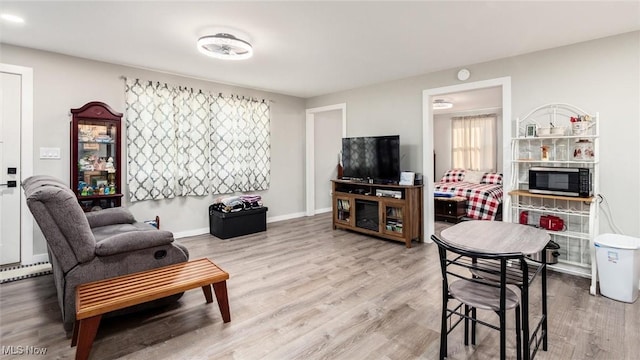 living room featuring wood-type flooring