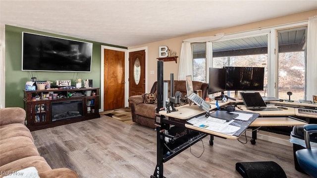 office area featuring wood-type flooring