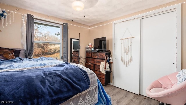 bedroom with hardwood / wood-style floors