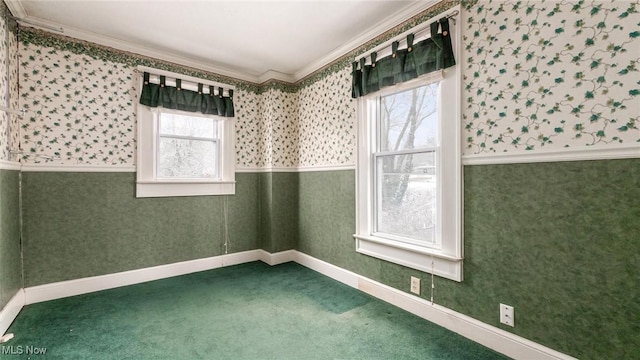 carpeted empty room with a wealth of natural light and crown molding