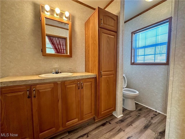 bathroom with hardwood / wood-style floors, vanity, toilet, and crown molding