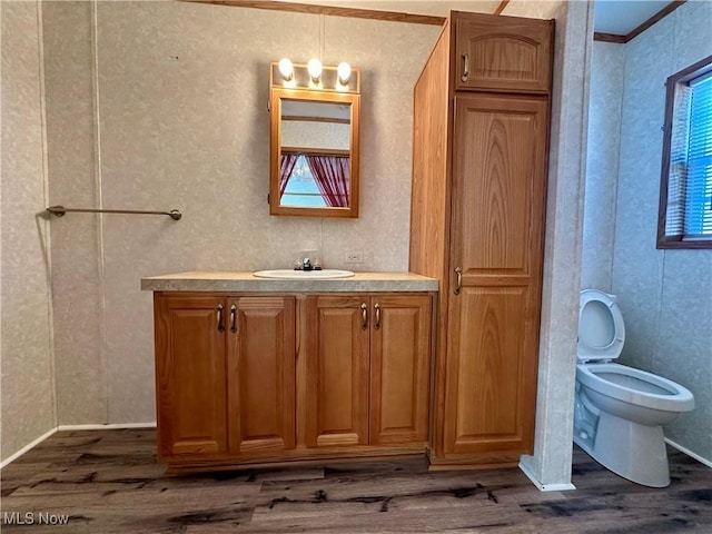 bathroom featuring vanity, hardwood / wood-style flooring, toilet, and ornamental molding