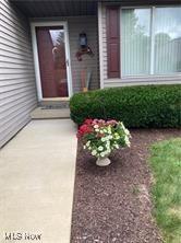 7355 W Blvd, Youngstown, OH 44512 - view of exterior entry