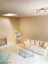 7355 W Blvd, Youngstown, OH 44512 - view of living area