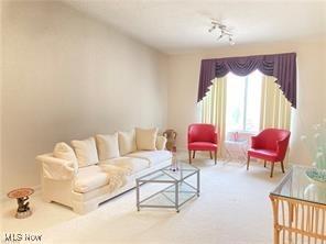 7355 W Blvd, Youngstown, OH 44512 - view of carpeted living area