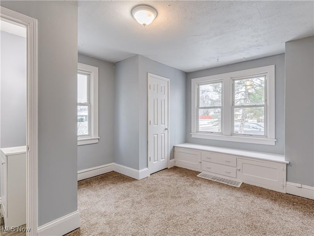 interior space with light carpet, a healthy amount of sunlight, and a textured ceiling