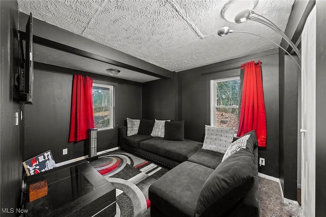 carpeted living room with a textured ceiling