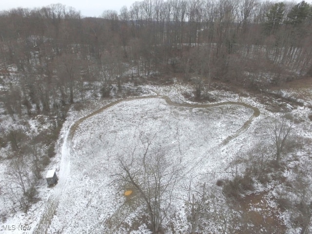 view of snowy aerial view