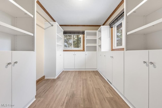 spacious closet featuring light hardwood / wood-style floors