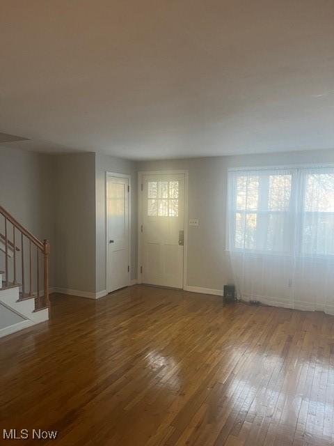 entryway featuring wood-type flooring