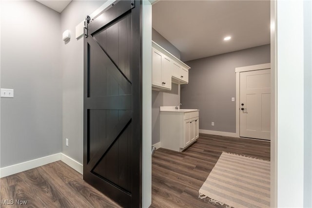 washroom with a barn door, dark hardwood / wood-style flooring, and sink