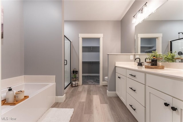 bathroom featuring hardwood / wood-style floors, vanity, and independent shower and bath