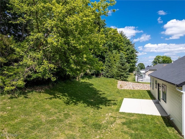 view of yard with a patio area